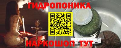 jwh Кингисепп