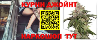 шишки Кимры