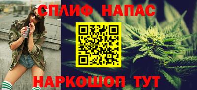 jwh Кингисепп
