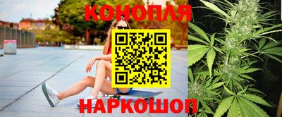 jwh Кингисепп