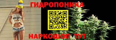 PSILOCYBIN Камышлов